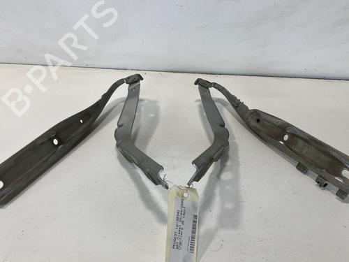 Hinge/Door check strap PEUGEOT 407 (6D_) 2.0 HDi 135 (6DRHRH, 6DRHRE, 6DRHRG, 6DRHRJ) | BP21594468C146 