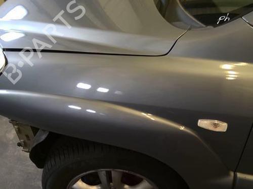 Left front fenders KIA SPORTAGE II (JE_, KM_) 2.0 CRDi 4WD | BP20955769C41