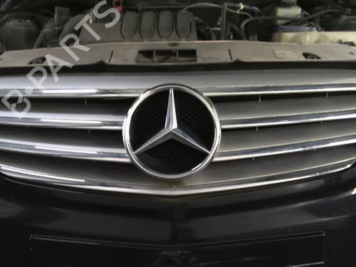 Used Grille MERCEDES-BENZ B-CLASS Sports Tourer (W245) B 180 CDI (245.207) (109 hp) 30570284