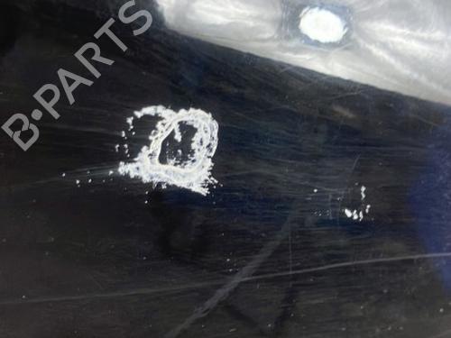Right front door FIAT BRAVO II (198_) 1.6 D Multijet (198AXH1B) | BP22028158C3 