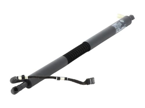 Used Tailgate lift support BMW 3 Gran Turismo (F34) 320 d xDrive (190 hp) 30599199