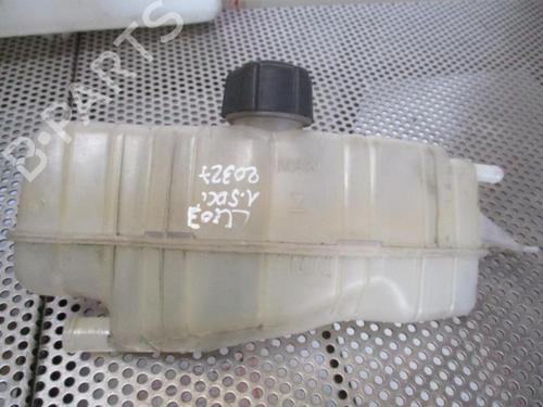 Used Expansion tank RENAULT CLIO III (BR0/1, CR0/1) 1.5 dCi (BR17, CR17) (86 hp) 20946740