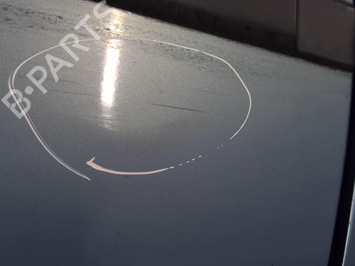 Right rear door FIAT PANDA (169_) 1.2 (169.AXB11, 169.AXB1A) | BP29629417C5 