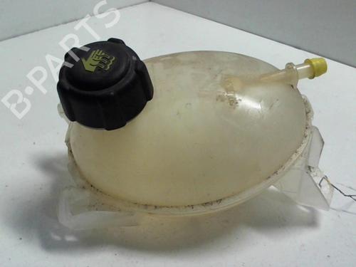 Used Expansion tank DACIA SANDERO II TCe 90 (B8M1, B8MA, B8AC) (90 hp) 20947088