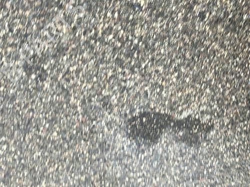 bremsepedal NISSAN PULSAR Hatchback (C13) 1.2 DIG-T | BP20968592I19 - Image 5