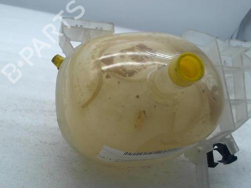 Used Expansion tank RENAULT TWINGO III (BCM_, BCA_) 1.0 SCe 70 (71 hp) 20964312