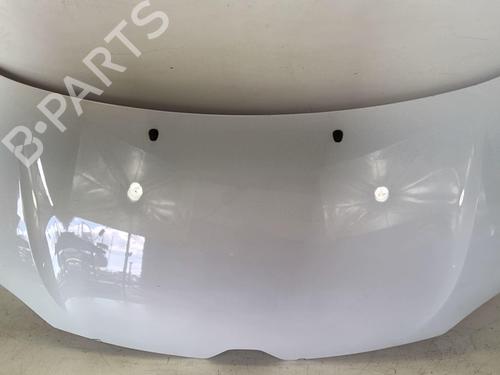 Used Hood RENAULT TWINGO III (BCM_, BCA_) 0.9 TCe 90 (BCM9, BCM2) (90 hp) 20962324