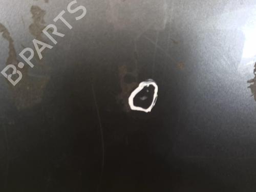Left front door RENAULT SCÉNIC III (JZ0/1_) 1.5 dCi | BP22024045C2 