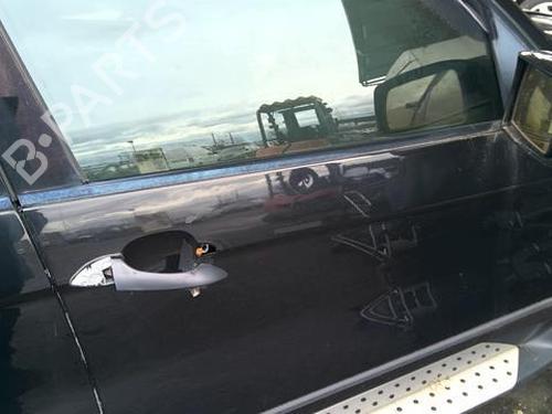 Right front door BMW X5 (E53) 3.0 d | BP22023696C3 