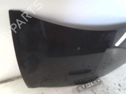 Hood RENAULT CLIO III (BR0/1, CR0/1) 1.5 dCi (BR17, CR17) | BP20951209C1 