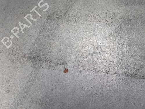 Used Hood Hood RENAULT 19 II Cabriolet (D53_, 853_) 1.7 (D53C) (90 hp) 32630428 32630428