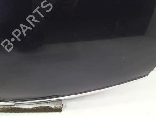 Hood CITROËN C4 Grand Picasso I (UA_) 2.0 HDi 138 | BP20965058C1 