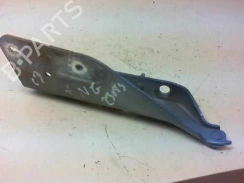 Used Hinge/Door check strap CITROËN C3 I (FC_, FN_) 1.4 HDi (68 hp) 20954586