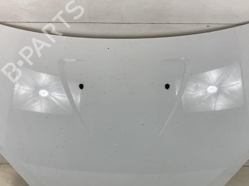 hood-dacia-sandero-2008-27570485 main image