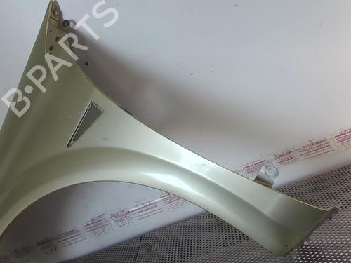 Left front fenders RENAULT MEGANE II (BM0/1_, CM0/1_) 1.9 dCi (BM0G, CM0G) | BP20957409C41 
