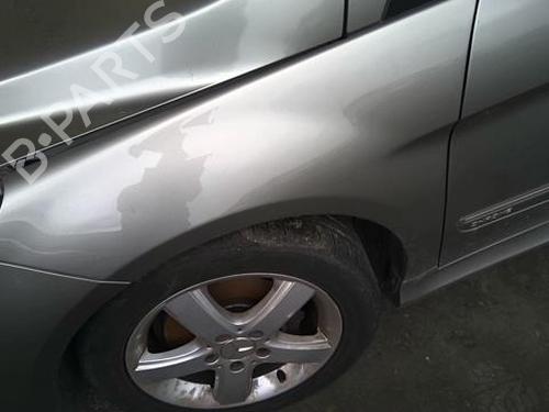 Left front fenders MERCEDES-BENZ B-CLASS Sports Tourer (W245) B 200 CDI (245.208) | BP22023943C41 