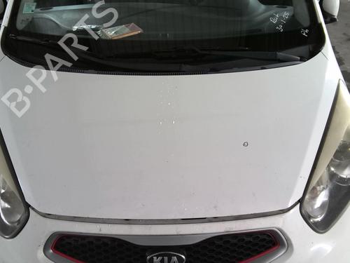 Used Hood KIA PICANTO II (TA) 1.2 (85 hp) 23791346