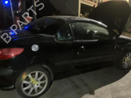 Right front door PEUGEOT 206 CC (2D) 2.0 S16 | BP22025597C3 
