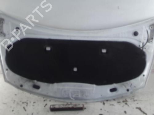 Hood RENAULT CLIO III Grandtour (KR0/1_) 1.5 dCi | BP22022317C1 