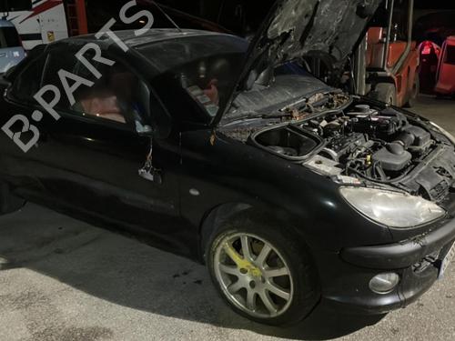 Right front door PEUGEOT 206 CC (2D) 2.0 S16 | BP22025597C3 