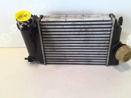 Intercooler RENAULT SCÉNIC IV (J9_) 1.5 dCi 110 | BP20955804M30