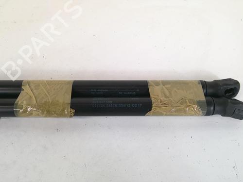 Tailgate lift support SEAT IBIZA IV (6J5, 6P1) 1.6 TDI | BP20968176C138 