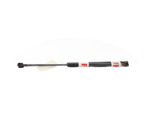 Used Tailgate lift support FORD FIESTA VI (CB1, CCN) 1.0 EcoBoost (100 hp) 21671625