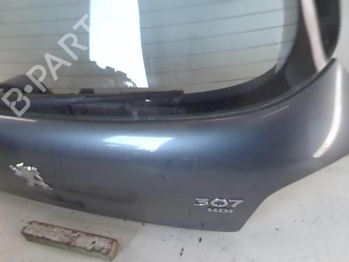 Bakluke CC/Kombi-Kupé PEUGEOT 307 (3A/C) 1.6 HDi | BP20945393C6 