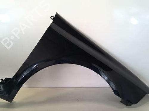Right front fenders RENAULT LAGUNA II (BG0/1_) 1.9 dCi (BG1A, BG1W, BG0G) | BP20965087C42 