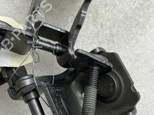 Hinge/Door check strap RENAULT SCÉNIC IV (J9_) 1.3 TCe 140 | BP21067587C146 
