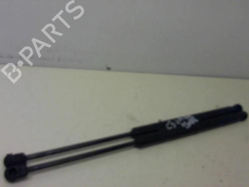Used Tailgate lift support CITROËN C3 I (FC_, FN_) 1.4 HDi (68 hp) 20954666