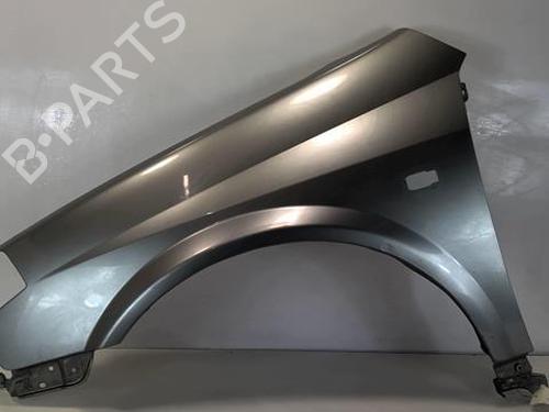 Left front fenders NISSAN PRIMERA Hatchback (P12) 1.9 dCi | BP20956346C41 