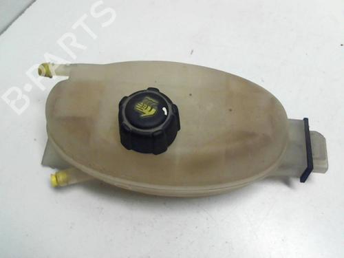 Used Expansion tank RENAULT TRAFIC II Bus (JL) 2.0 dCi 115 (JL00, JL01, JL0H, JL0M, JL0U) (114 hp) 20941769