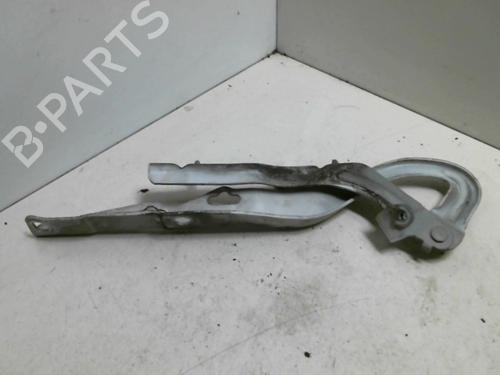 Hinge/Door check strap PEUGEOT 207 (WA_, WC_) 1.4 HDi | BP20957801C146 