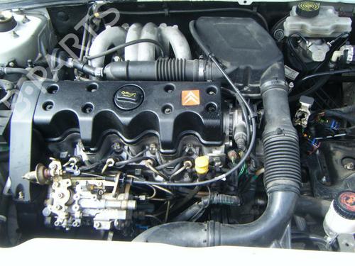 Køler CITROËN SAXO (S0, S1) 1.5 D | BP20960501M31 