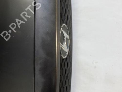 Hood HYUNDAI SANTA FÉ I (SM) 2.0 CRDi | BP22028172C1 