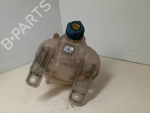 Used Expansion tank FIAT GRANDE PUNTO (199_) 1.3 D Multijet (75 hp) 20952093