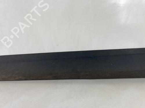 Dørliste RENAULT SCÉNIC III (JZ0/1_) 1.9 dCi (JZ0J, JZ1J, JZ1K, JZ1S) (131 hp) 20950496