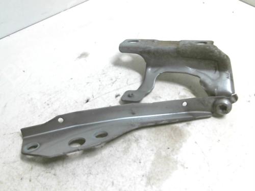 Hinge/Door check strap VOLVO S40 II (544) 1.6 D | BP20945649C146