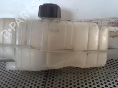 Expansion tank RENAULT CLIO III (BR0/1, CR0/1) 1.5 dCi (BR17, CR17) | BP20951231C120 