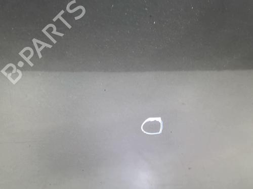 Left front door RENAULT SCÉNIC III (JZ0/1_) 1.5 dCi | BP22024045C2 