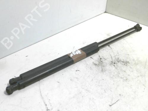 Amortiguador capot RENAULT VEL SATIS (BJ0_) 2.2 dCi (BJ0E, BJ0F) (150 hp) 20970079