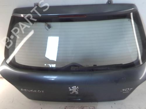 Bakluke CC/Kombi-Kupé PEUGEOT 307 (3A/C) 1.6 HDi | BP20945393C6 