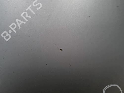 Used Hood Hood CITROËN C8 (EA_, EB_) 2.2 HDi (128 hp) 36141927 36141927