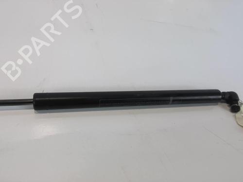 Tailgate lift support FORD FIESTA III (GFJ) 1.1 | BP22023331C138
