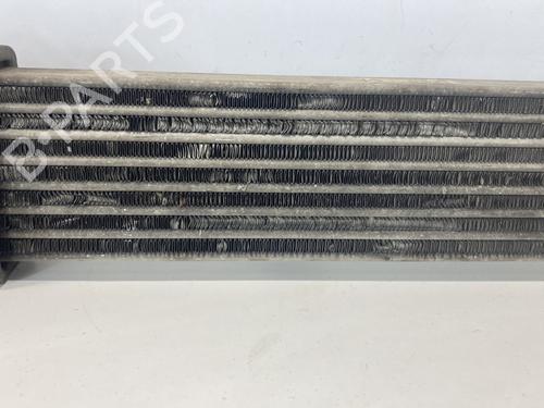 Intercooler RENAULT KANGOO (KC0/1_) 1.5 dCi | BP21775810M30 
