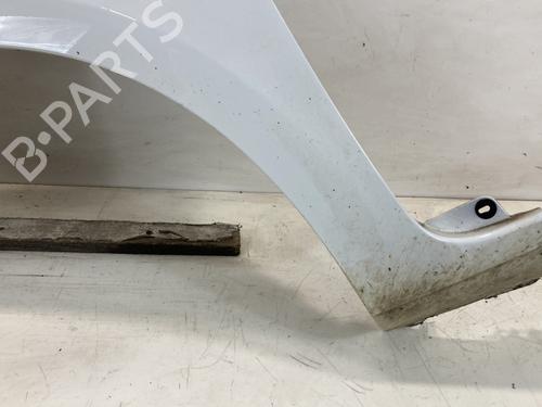 Left front fenders RENAULT CLIO III (BR0/1, CR0/1) 1.5 dCi (C/BR0G, C/BR1G) | BP27570406C41