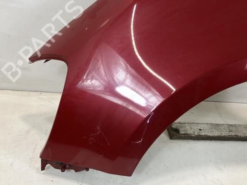 Left front fenders RENAULT CLIO III (BR0/1, CR0/1) 1.5 dCi (C/BR0G, C/BR1G) | BP26462040C41 