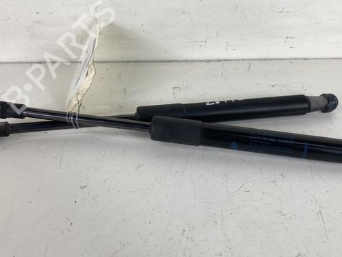 Used Hood lift support RENAULT SCÉNIC IV (J9_) 1.5 dCi 110 (110 hp) 20955798