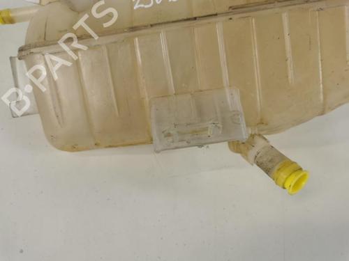 Expansion tank RENAULT KANGOO Express (FW0/1_) 1.5 dCi 75 (FW07, FW10, FW04) | BP20955691C120 